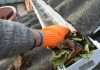 Gutter Cleaning the Southwest