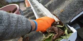 Gutter Cleaning the Southwest